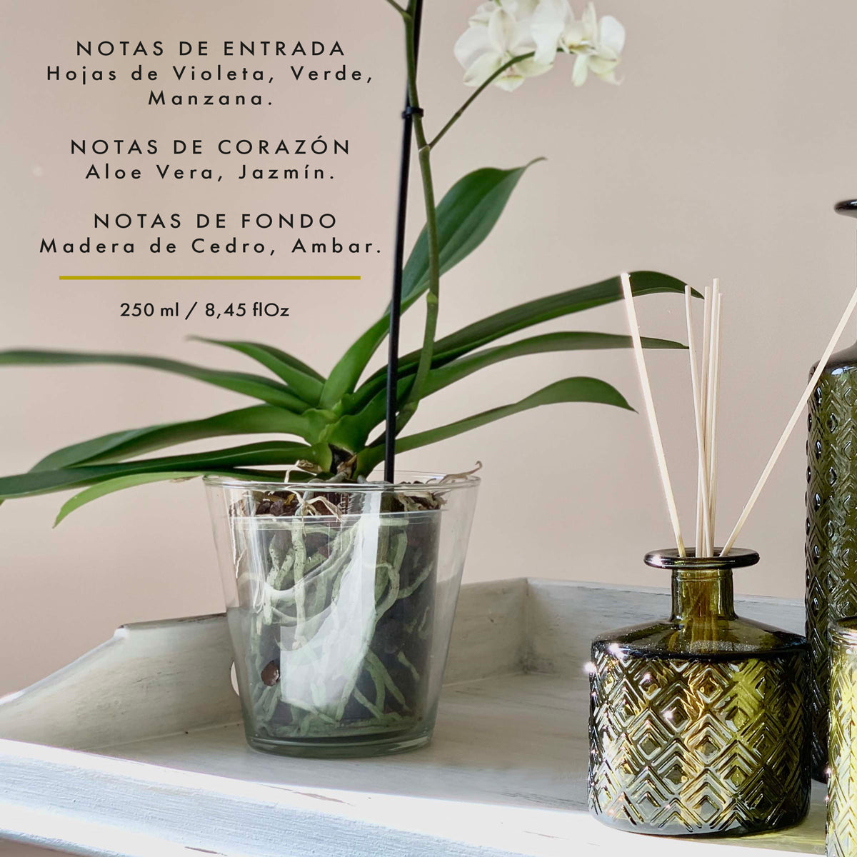 Veremundo Home - ORGANIC - Ambientador varillas ALOE VERA